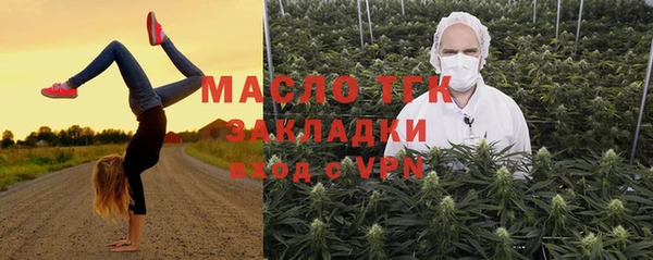 шишки Аркадак