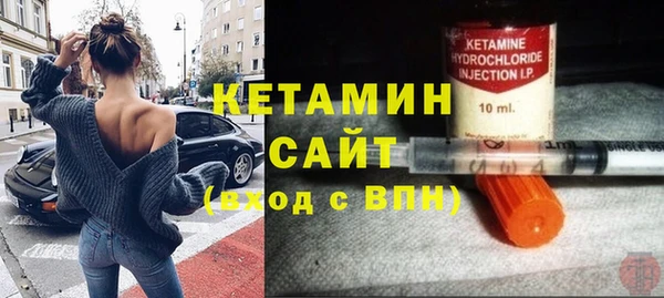 шишки Аркадак